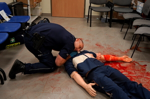 Zawody "Dzielnicowy roku 2025"