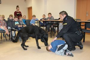 postępowanie w przypadku ataku niebezpiecznego psa