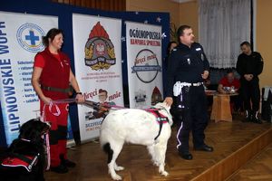 lekcja edukacyjna, prezentacja sprzętu, prezentacja psów