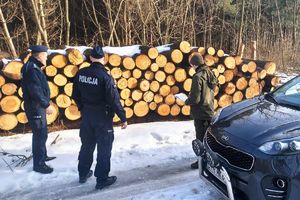 policjanci z leśnikiem przy składzie drewna