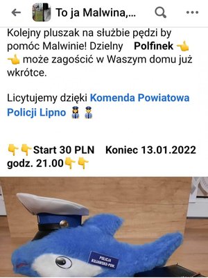 screen z aukcji z Polfinkiem