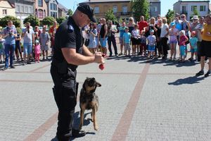 pokaz psa służbowego