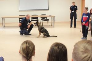 policjant prezentuje umiejętności psa