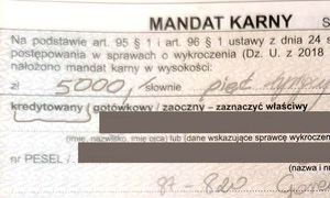 zanonimizowany blankiet mandatu karnego