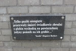 Tablica pomnika Obywateli Ziemi Dobrzyńskiej z inskrypcją: &quot;Tylko guziki nieugięte przetrwały śmierć świadkowie zbrodni z głębin wychodzą na powierzchnie jedyny pomnik na ich grobie&quot; &quot;Guziki&quot; Zbigniew Herbert