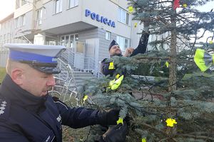 policjanci przystrajają choinkę odblaskami