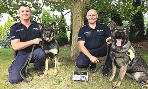 przewodnicy psów ze swoimi podopiecznymi