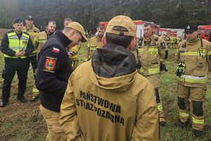 odprawa dowódców zastępów