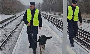 policjanci patrolują rejon torowiska