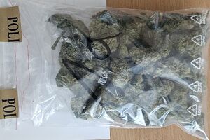 zabezpieczone narkotyki