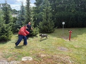 policjanci biorą udział w obchodach Święta Policji