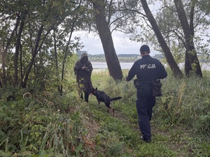 Pies służbowy wraz z przewodnikiem prowadzą poszukiwania